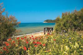 Park Albatros